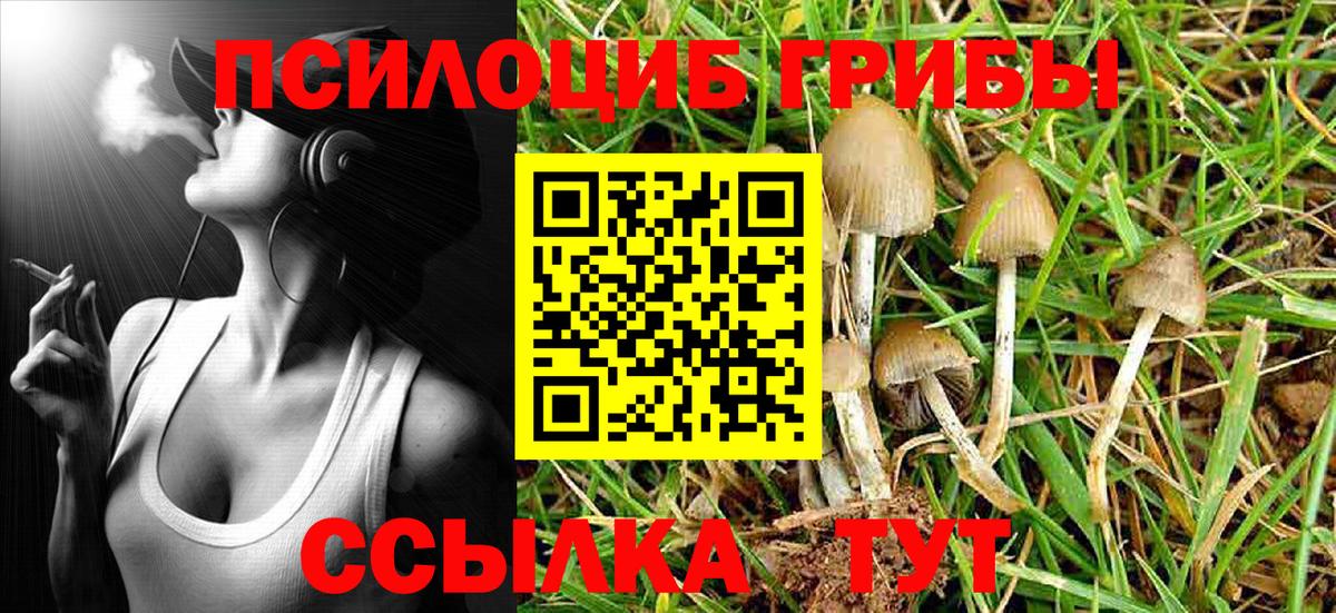 Галлюциногенные грибы MAGIC MUSHROOMS Гусев
