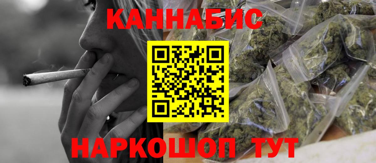 Бошки Шишки планчик Гусев